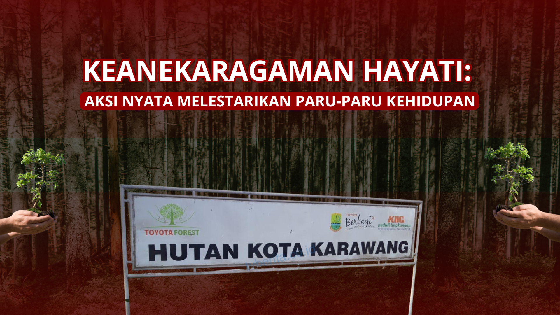 Thumbnail Artikel Keanekaragaman Hayati: Aksi Nyata Melestarikan  Paru-paru Kehidupan