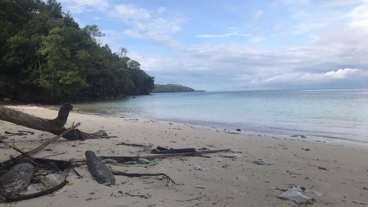 Pentingnya Penghijauan di Lingkungan Kampus